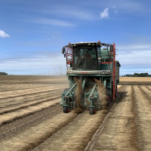 La nouvelle écapsuleuse, qui a été présentée à Lin'Ovation, a réalisé une première saison de récolte de manière satisfaisante.