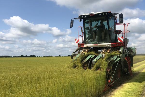DAEAHY-4WD - Spécialiste du lin et du chanvre en France